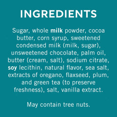 Milk Chocolate Sea Salt Caramel SQUARES Case Pack (430 ct)