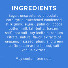 Dark Chocolate Sea Salt Caramel SQUARES Case Pack (430 ct)