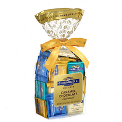 Caramel Chocolate Assorted SQUARES Gift Bag 1lb