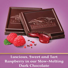 Raspberry Dark Chocolate Squares Bar (Case of 10)